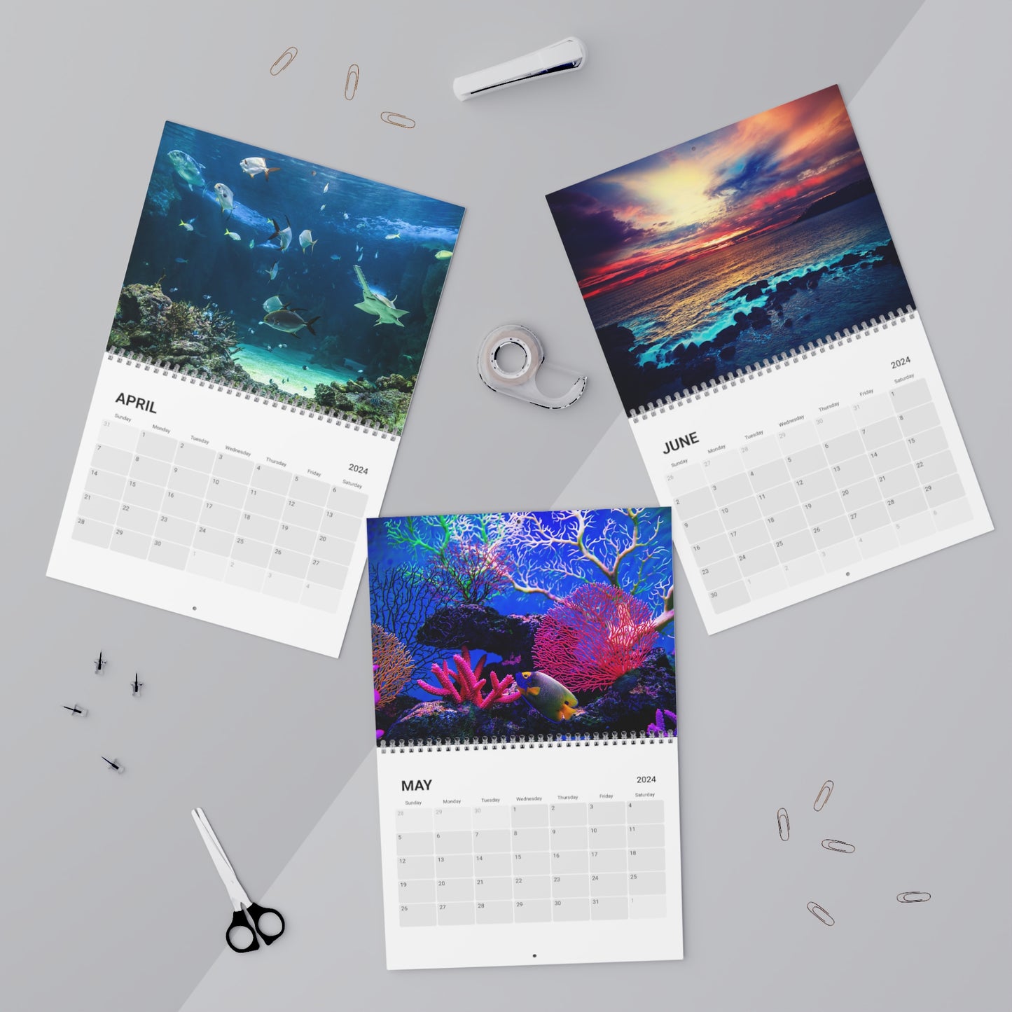 2024 Ocean Paradise Wall Calendar - Coral Reefs, Sharks, Dolphins, Beach, Ocean and more