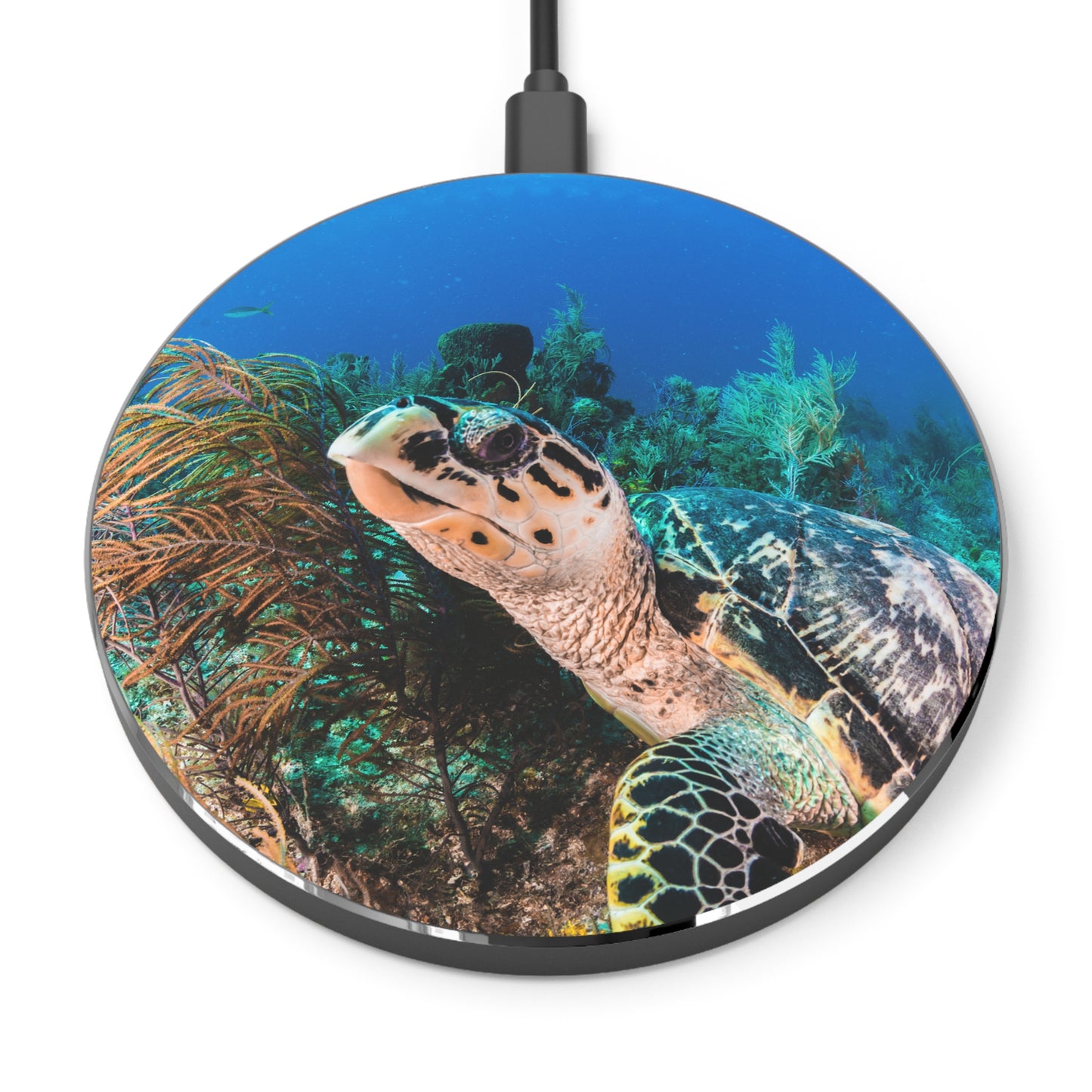 Turtle-Powered Magic: Sea Turtle Wireless Charger