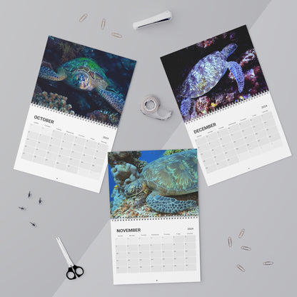 2024 Sea Turtles Underwater Wall Calendar