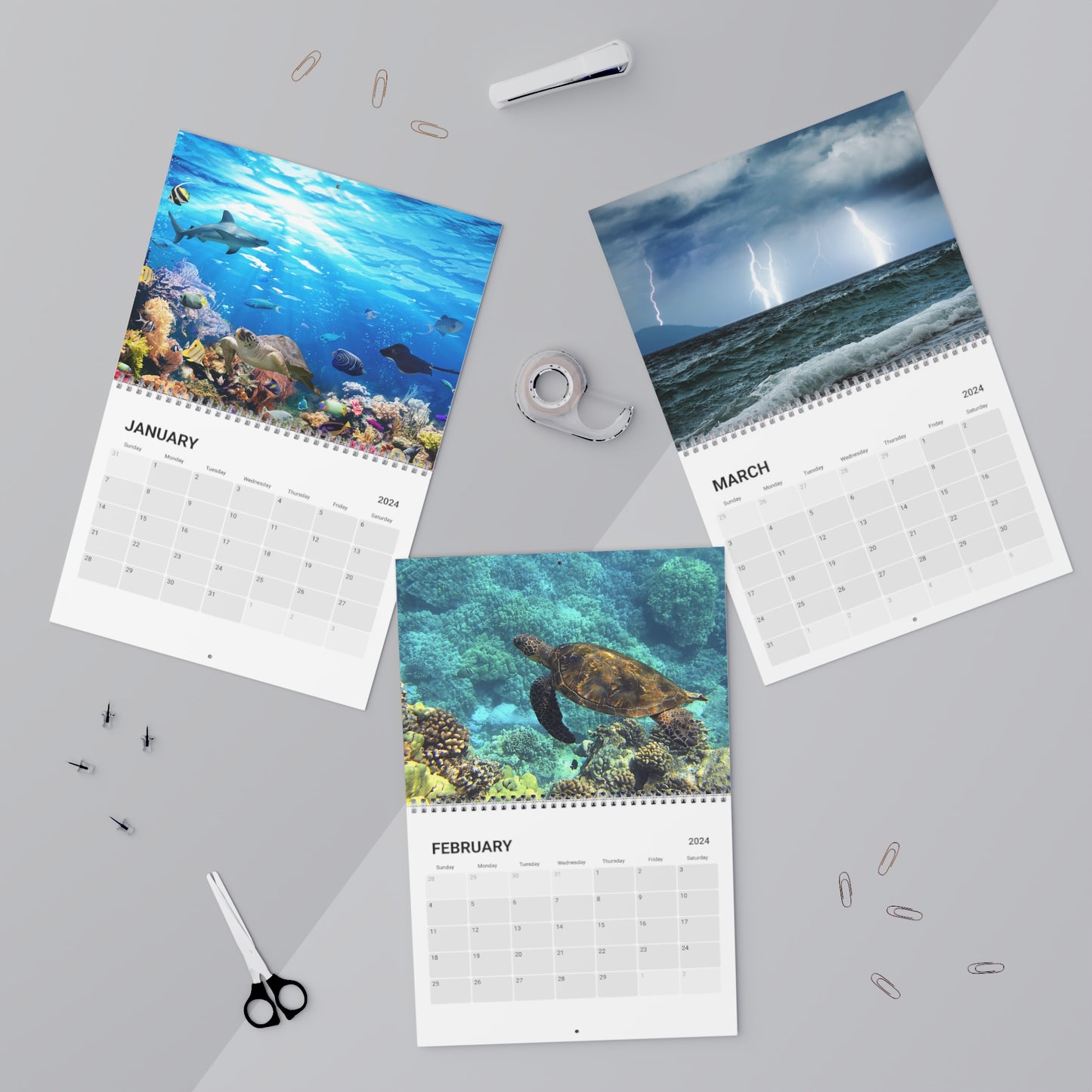 2024 Ocean Paradise Wall Calendar - Coral Reefs, Sharks, Dolphins, Beach, Ocean and more