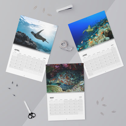 2024 Sea Turtles Underwater Wall Calendar