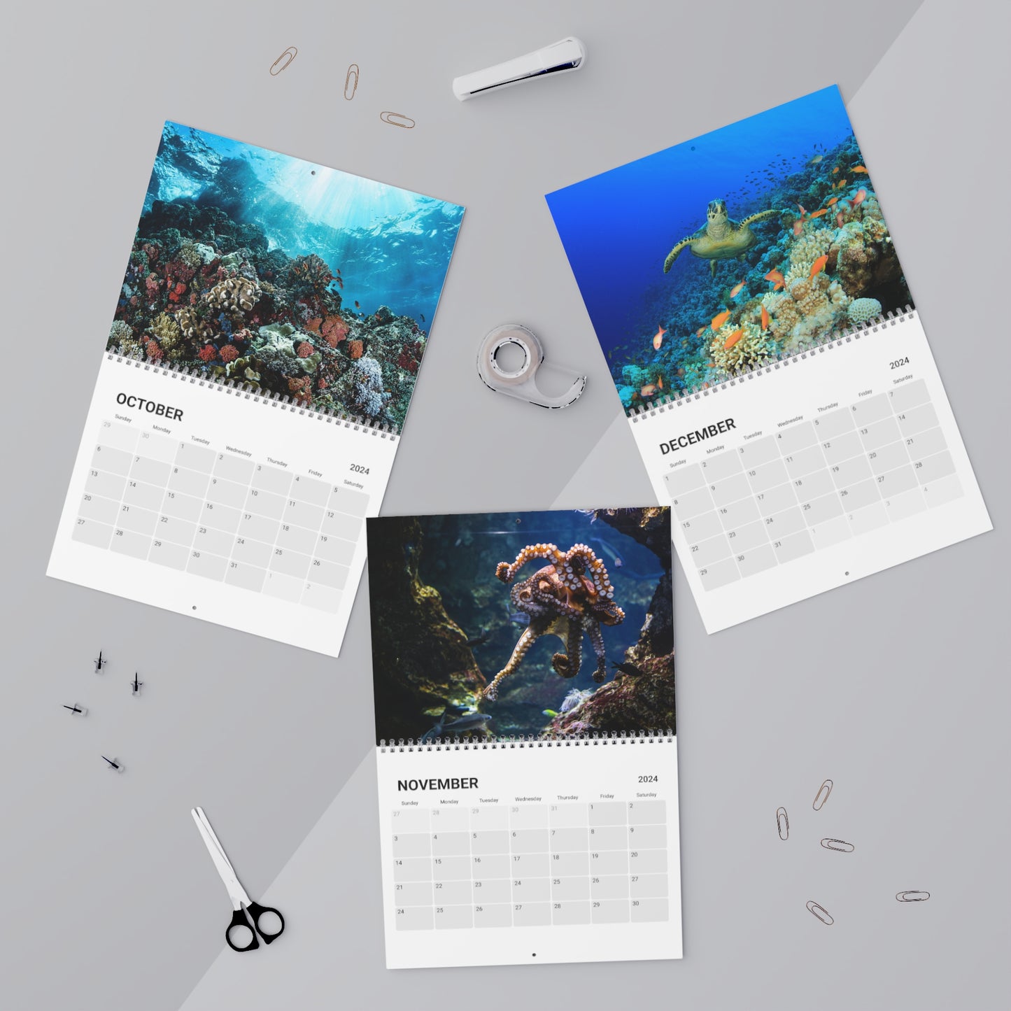 2024 Ocean Paradise Wall Calendar - Coral Reefs, Sharks, Dolphins, Beach, Ocean and more