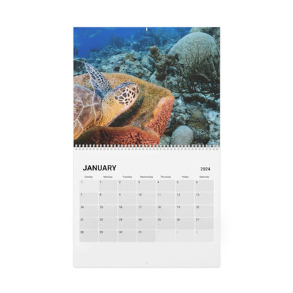 2024 Sea Turtles Underwater Wall Calendar